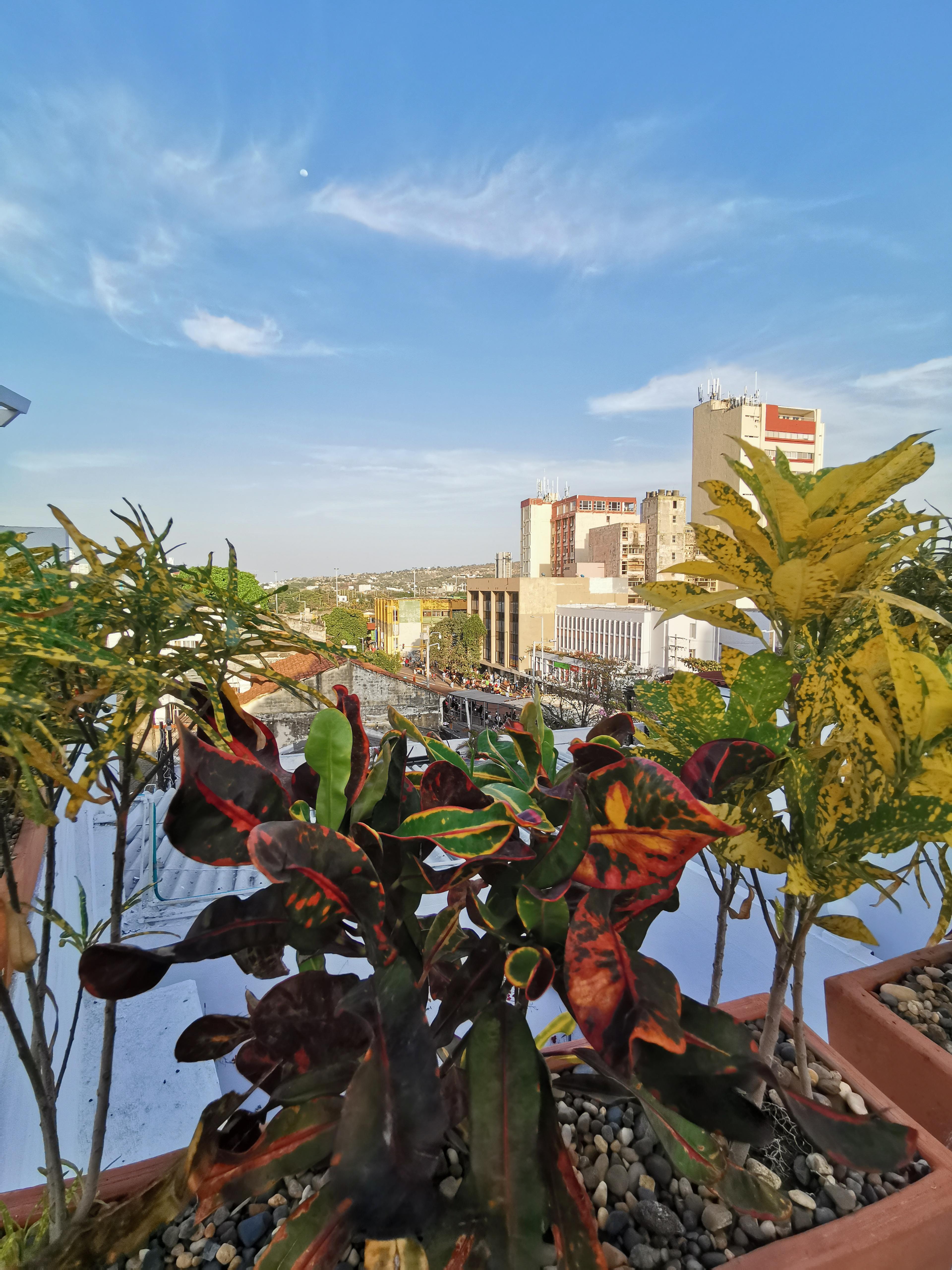 Luka Cartagena Hotel Exterior foto